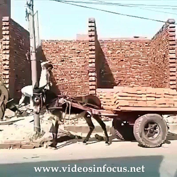 Pathan Way of unloading luggage funny