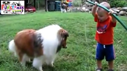 Best Friends Cute Dog Plays With Baby Youll Love This..