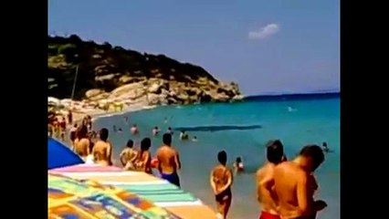 Unbelievable Creatures on EARTH