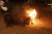 PACMA denuncia la celebración del 'Toro Jubilo'