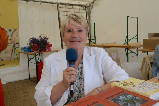 Fête de la Marseillaise La Seyne sur Mer 2014 - Interview Danielle De March - 720p