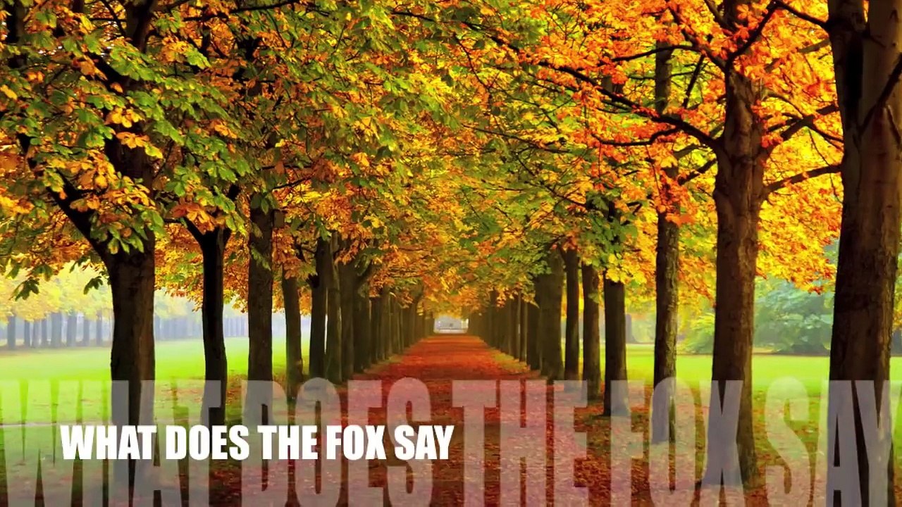WHAT DOES THE FOX SAY ?