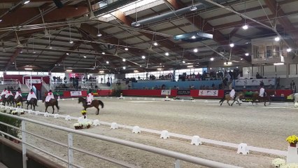 Grand national de dressage à Saint-Lô