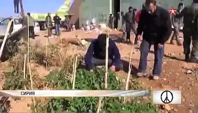 Сирийская армия «голыми руками» противостояла «Градам» ИГИЛ годами