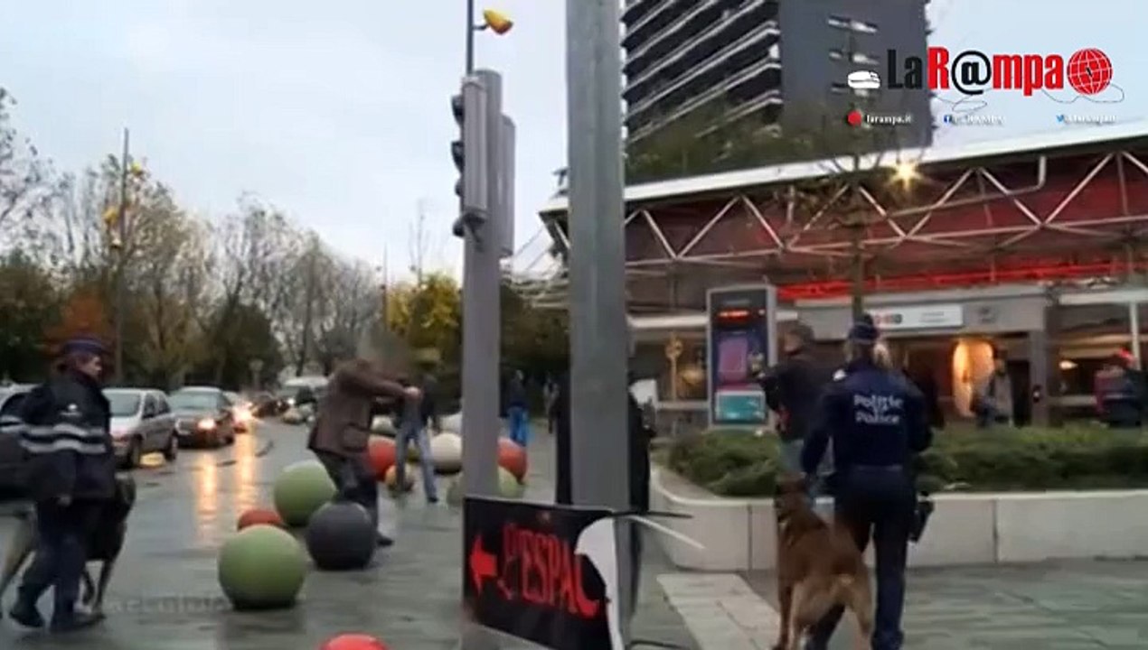 Attentati Parigi: 7 arresti a Molenbeek