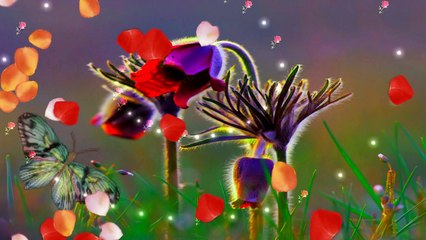 kitna pagal Dil hai (((( kumar saun