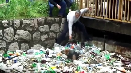 Удивительное спасение Животных, трогательная история