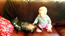 Baby and the dog. Can't stop laughing ...