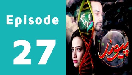 Paiwand Last Episode 27 Full on Ary Digital