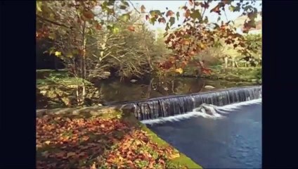 MERENDERO RÍO PEDRAS, POBRA DO CARAMIÑAL 2015