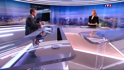 Nicolas Sarkozy "Nous devons renforcer de façon drastique notre politique de sécurité intérieure" NS20H TF1 [15.11.2015]