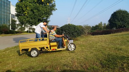 AYGÜN KASALI 3  TEKERLİ