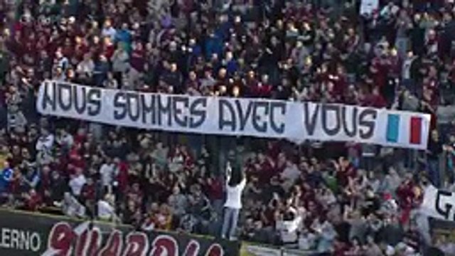 Salernitana - Novara 1-0. Gol & Highlights. Serie B 15⁄11⁄2015