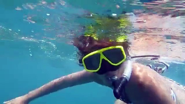 Aqua Tao Snorkeling Koh tao Thailand