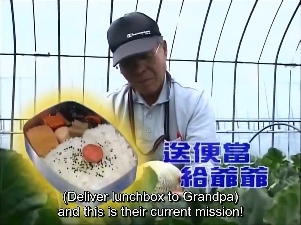 Pankun & James: Genius Chimpanzee Lunch Delivery engsub 狗狗猩猩大冒險