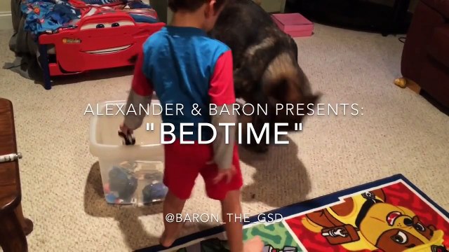 Собака укладывает ребёнка спать . лучший друг