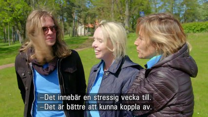 Alles voor Zweden deel 3