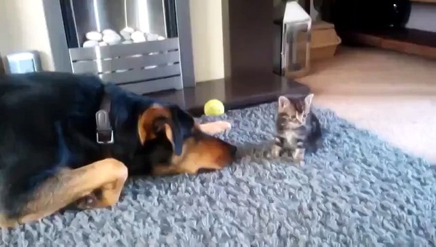 Ну поиграй со мной, поиграй