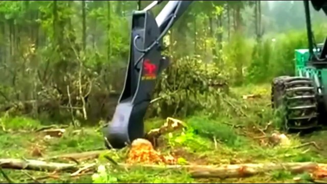 Amazing Tree Harvesting Machine around in the world new compilation