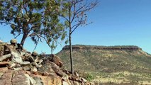 Scout Sniper Platoon 1/5 Marines Long Range Sniper Training