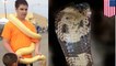 Texas teen commits suicide with venomous cobra, autopsy confirms