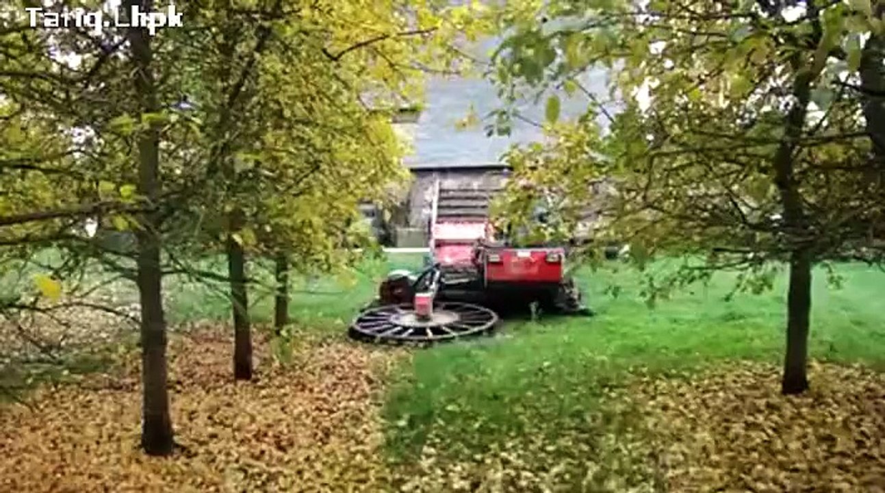 Apple harvest