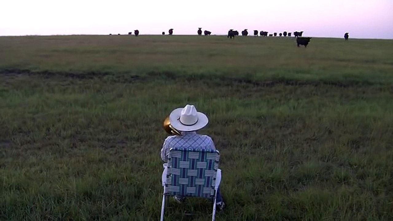 Serenading the cattle with trombone