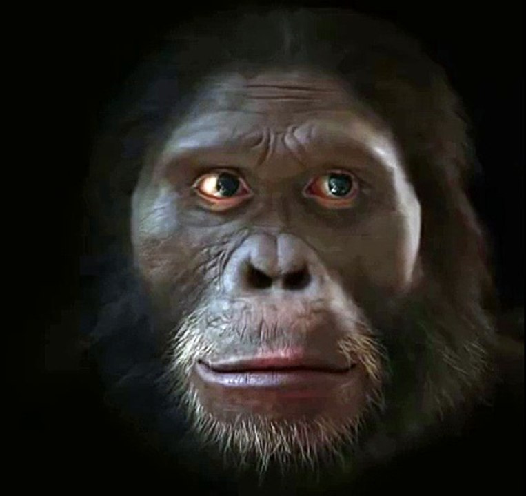 Human Face Evaluation From Beigining To Now