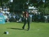 Golf Tiger Woods perfect swing