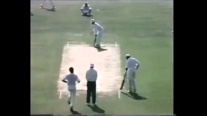 Waqar Younis is Deadly Straight to Brian Young