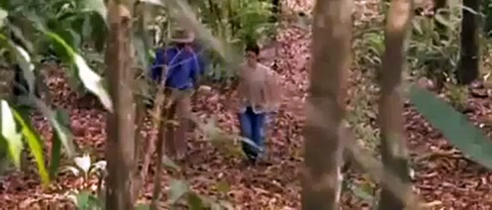 Evidence for Huge Cities in the Amazon Jungle (Full Documentary) [Full ]