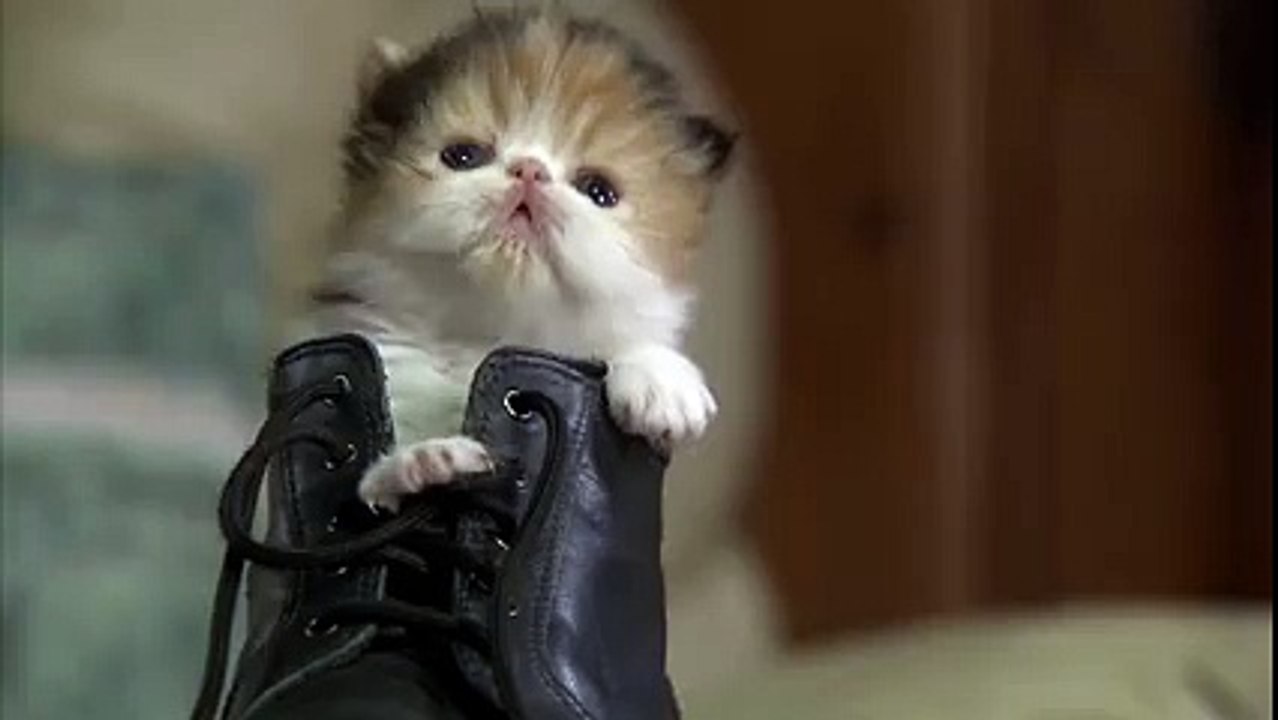 ooo so cute