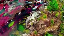 This rare, breathtaking rainbow river is the only one of its kind on Earth!