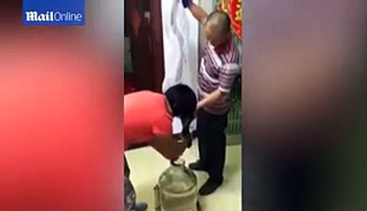 China Snake