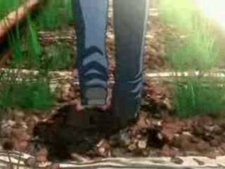 AIR・オープニング