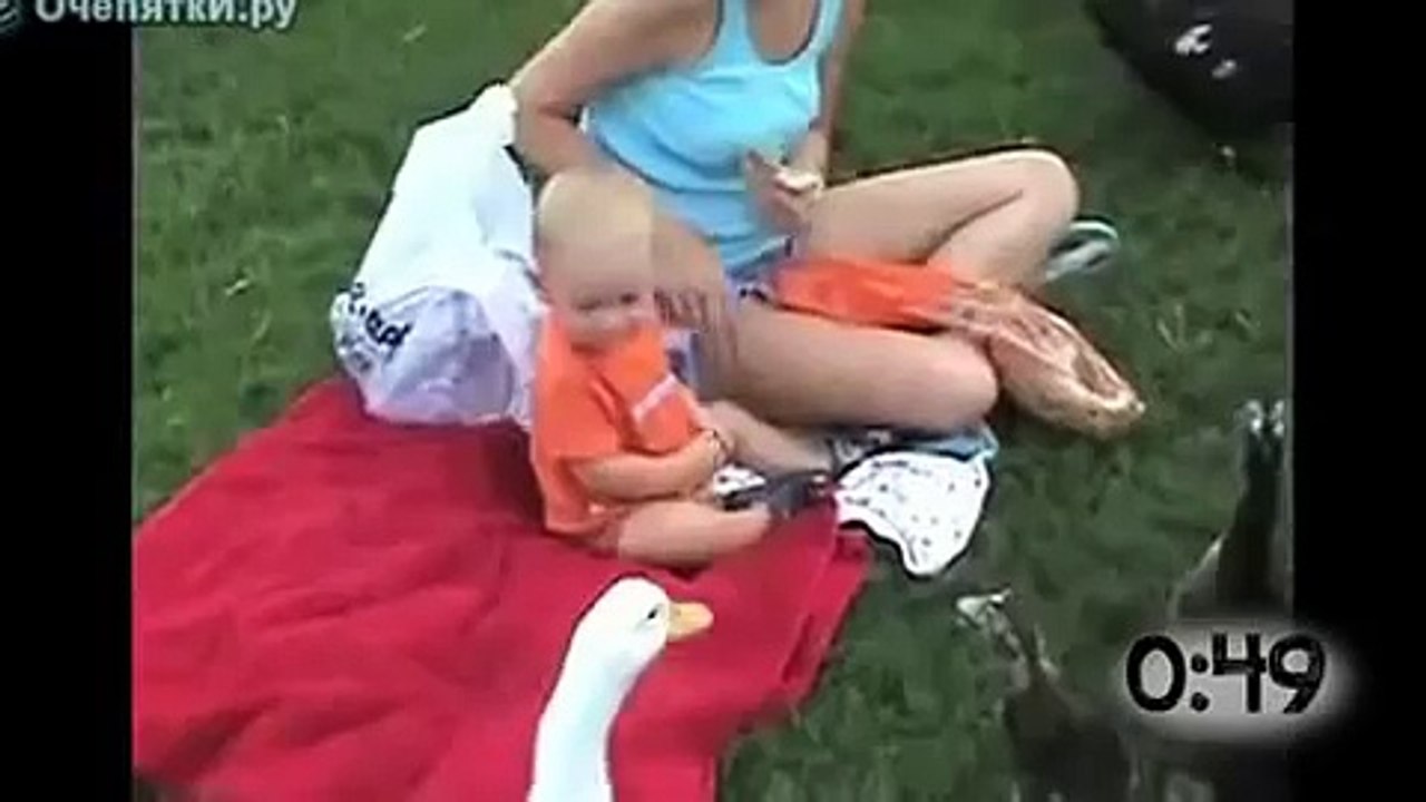 Гуси атакуют!