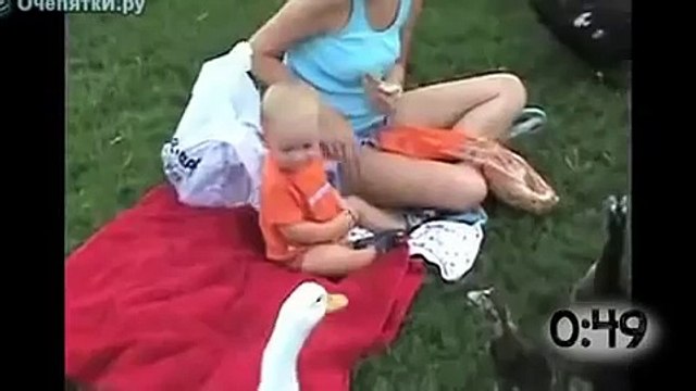 Гуси атакуют!