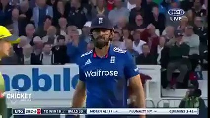 most unblevible catches in cricket h