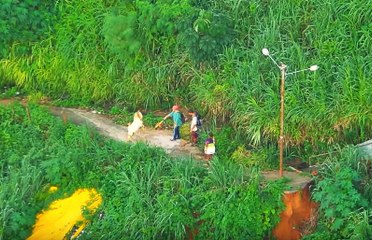 Keçi Turistlerin Yolunu Kesti