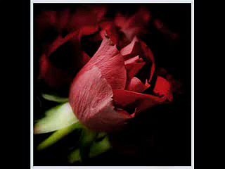 RAB Na Kare ke Yeh Zindagi Kabhi Kisi Ko Dagha De sad song