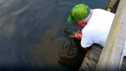 Çıplak Elle Balık Yakaladı