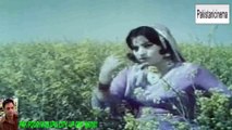 Dil Mera Zora Zori - Japani Guddi - Punjabi Movie -1972 (1)_1-HD