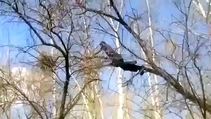 Серёжа, не надо! — Что делать, когда он вмешивается? 🚫