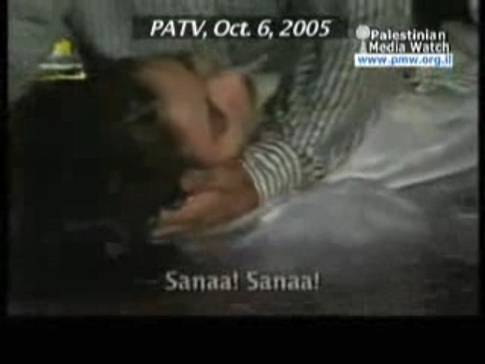 Propagande liban palestine