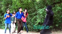 Gorilla Scare Prank | India | TroubleSeekerTeam | Pranks in India | TST Pranks