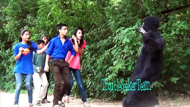 Gorilla Scare Prank | India | TroubleSeekerTeam | Pranks in India | TST Pranks