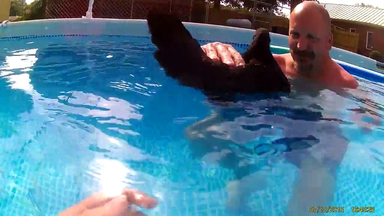 Il fait une découverte incroyable : Les poules flottent !