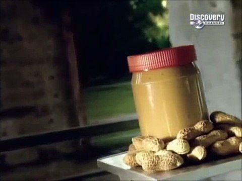 طريقة عمل زبدة الفول السودانى فى البيت