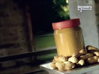 طريقة عمل زبدة الفول السودانى فى البيت