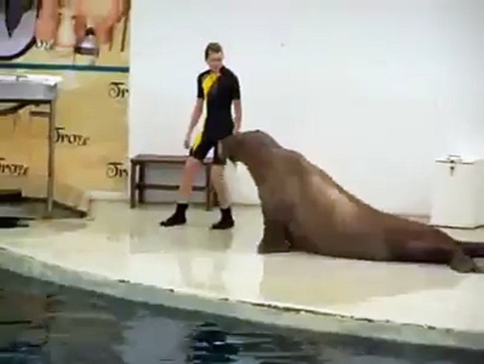 amazing stunt - must watch